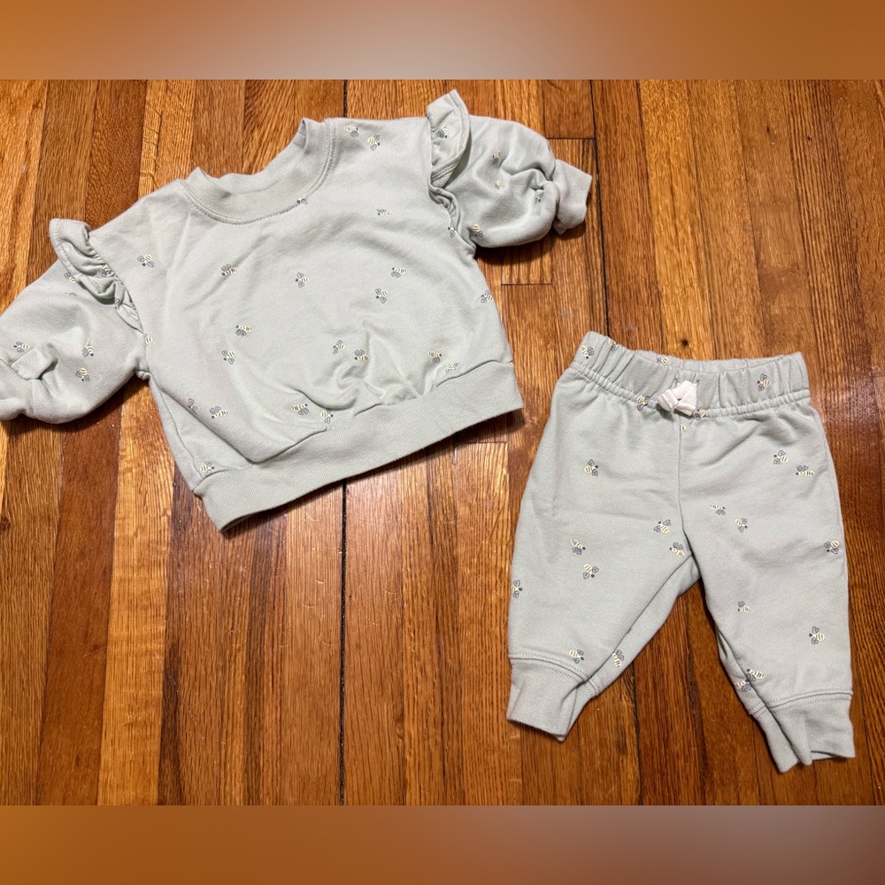 Carter's Light Sage Two-Piece Sweat Set with Tiny Floral Accent